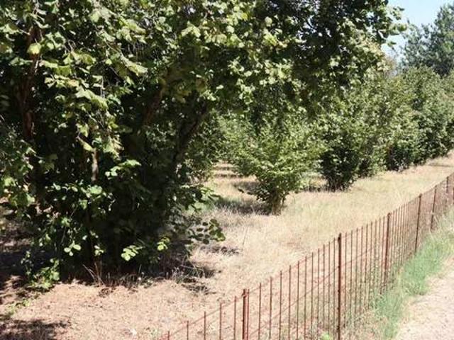 Terreno in vendita a Bassano Romano VT