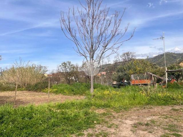 Terreno in vendita a Belvedere Marittimo CS