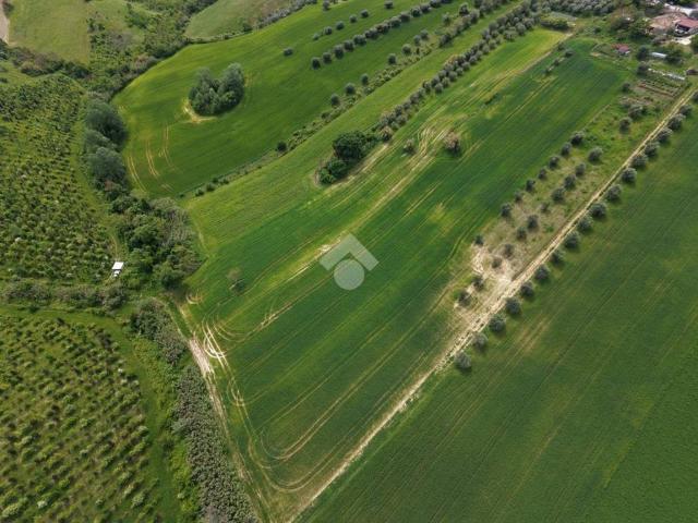 Terreno in vendita a Bellante TE