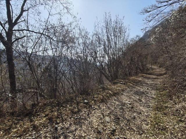 Terreno in vendita a Belluno BL