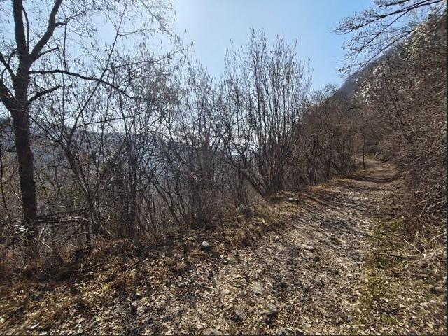 Terreno in vendita a Belluno BL