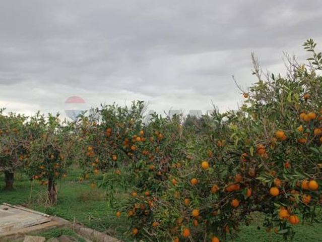 Terreno in vendita a Belpasso