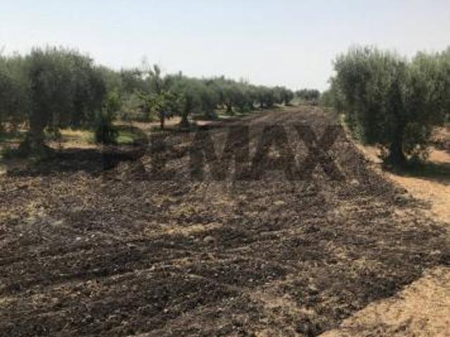 Terreno in vendita a Belpasso