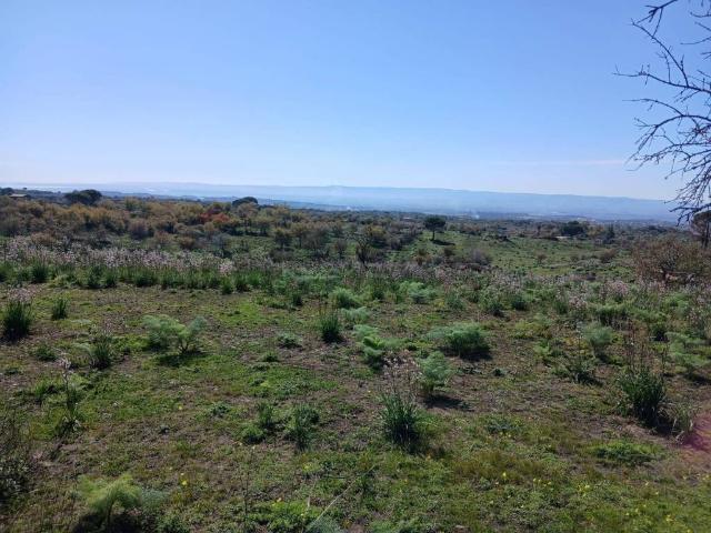 Terreno in vendita a Belpasso CT