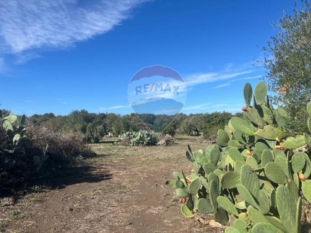 Terreno in vendita a Belpasso CT