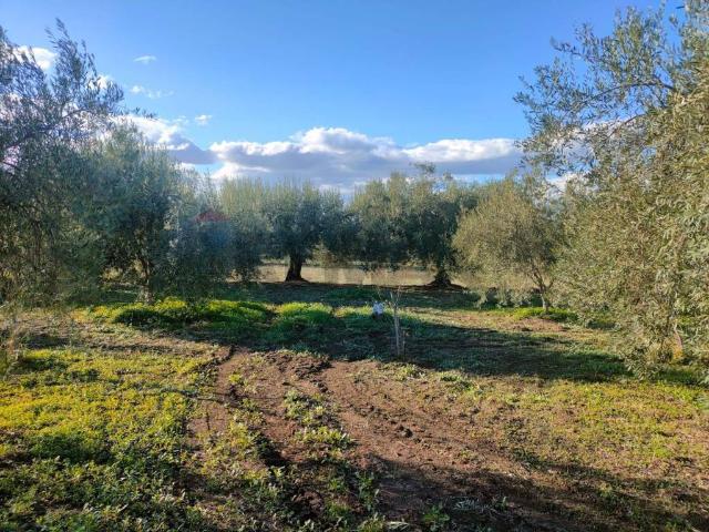 Terreno in vendita a Belpasso CT