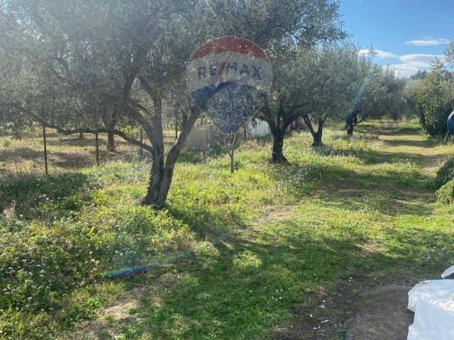 Terreno in vendita a Belpasso CT