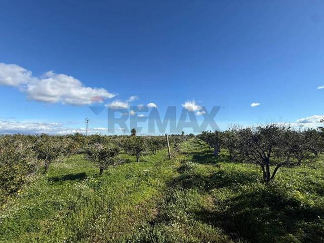 Terreno in vendita a Belpasso CT