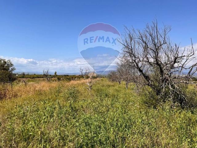 Terreno in vendita a Belpasso CT