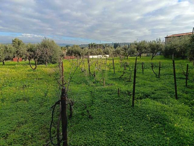 Terreno in vendita a Belpasso CT