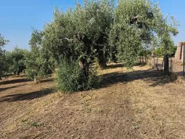 Terreno in vendita a Belpasso CT