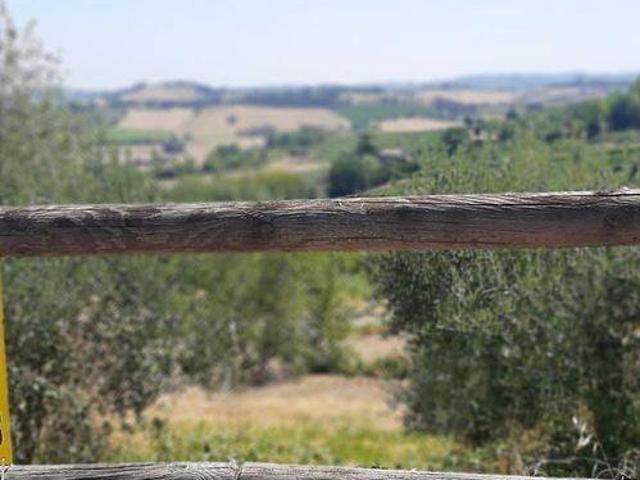 Terreno in vendita a Bertinoro FC
