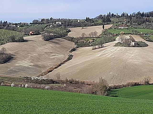 Terreno in vendita a Bertinoro FC