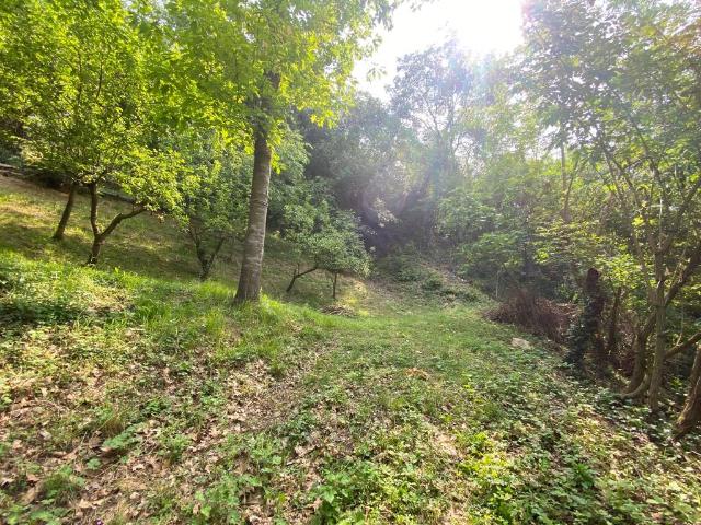 Terreno in vendita a Berzo San Fermo BG