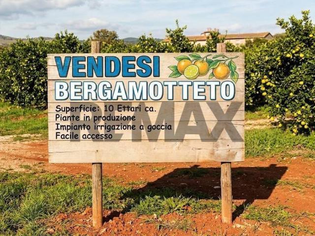 Terreno in vendita a Bianco RC