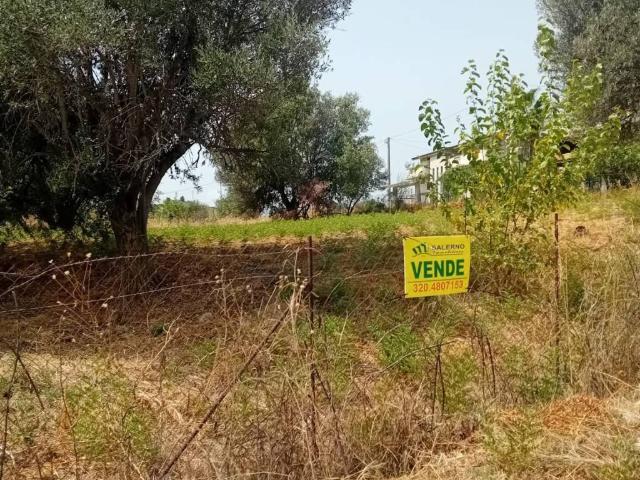 Terreno in vendita a Bianco RC