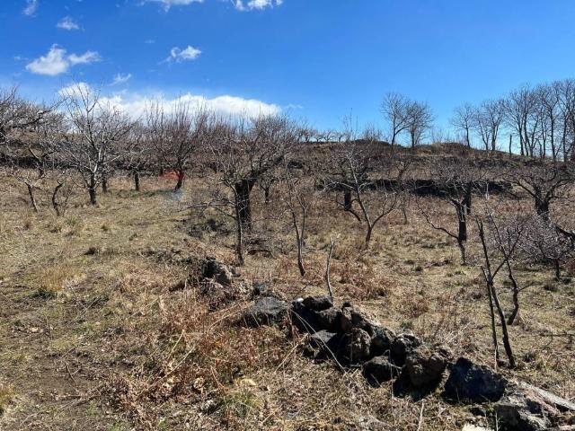 Terreno in vendita a Biancavilla CT