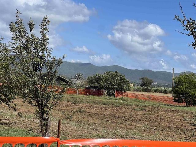 Terreno in vendita a Bibbona LI