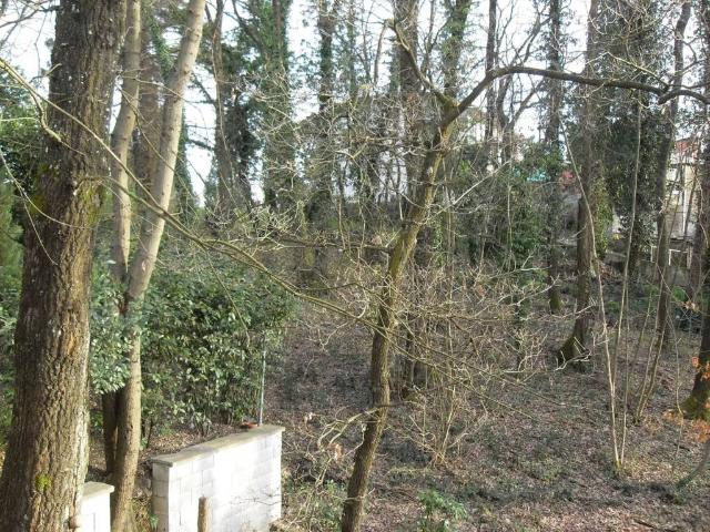 Terreno in vendita a Bientina PI