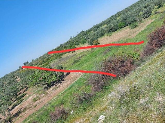 Terreno in vendita a Bitritto BA