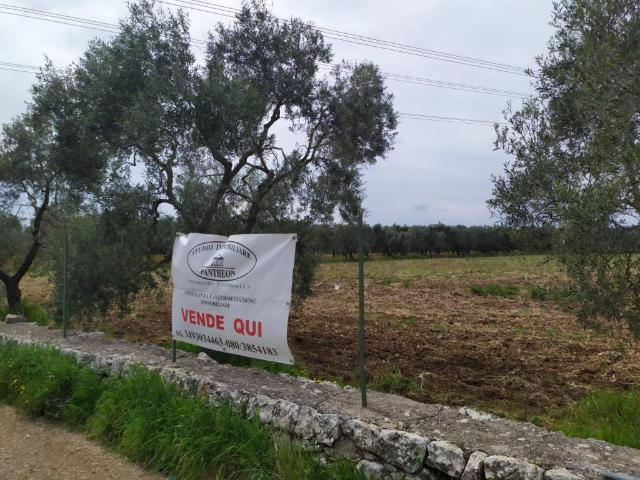 Terreno in vendita a Bitritto BA
