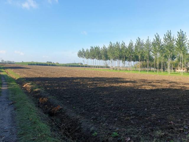 Terreno in vendita a Bomporto MO