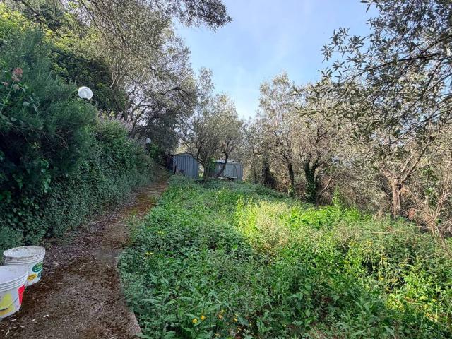 Terreno in vendita a Bogliasco GE