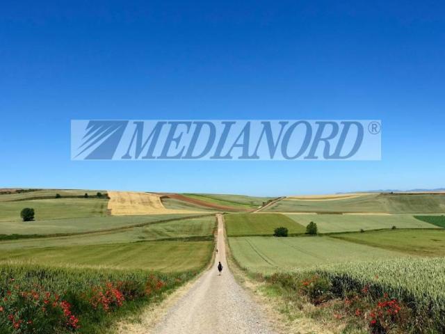 Terreno in vendita a Boltiere BG