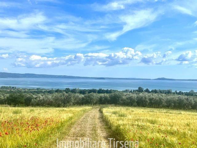 Terreno in vendita a Bolsena VT
