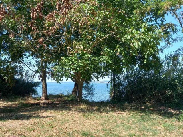 Terreno in vendita a Bolsena VT