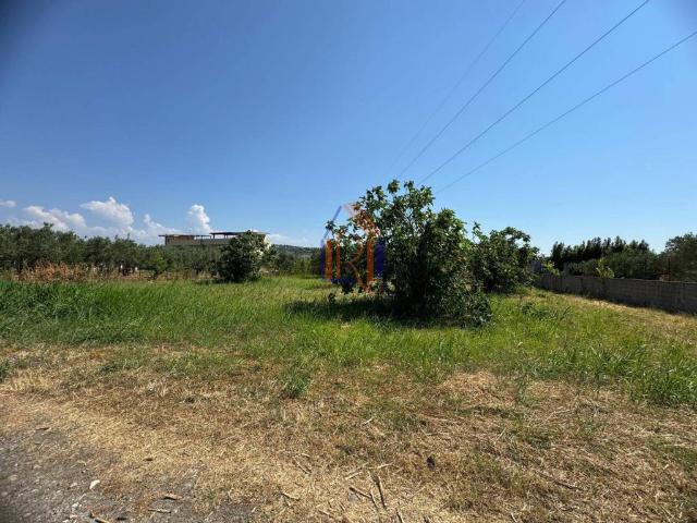 Terreno in vendita a Borgia CZ