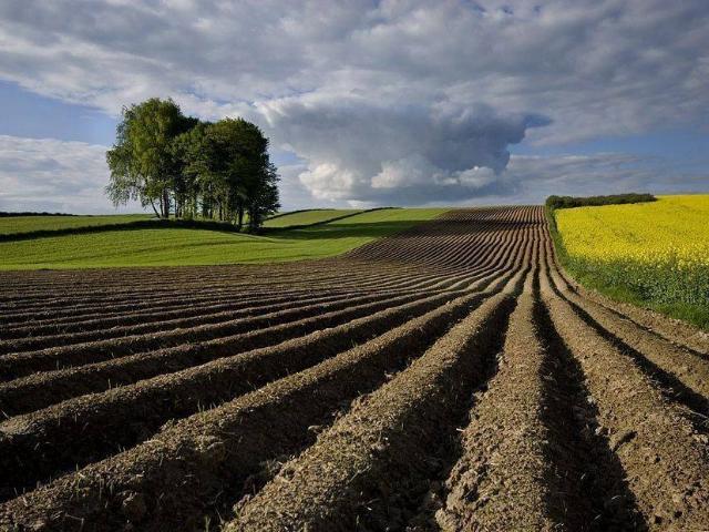 Terreno in vendita a Borgo Veneto PD