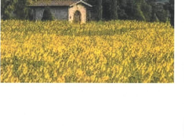 Terreno in vendita a Borgo San Lorenzo FI
