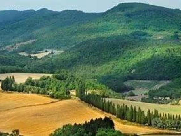 Terreno in vendita a Borgo San Lorenzo FI