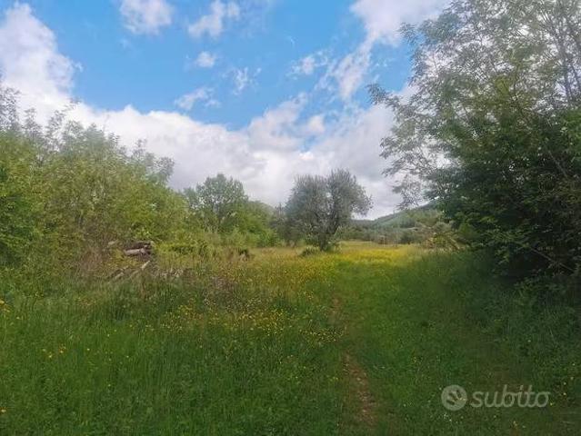 Terreno in vendita a Borgo San Lorenzo FI