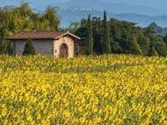 Terreno in vendita a Borgo San Lorenzo FI
