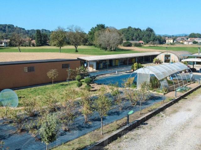 Terreno in vendita a Borgomanero NO
