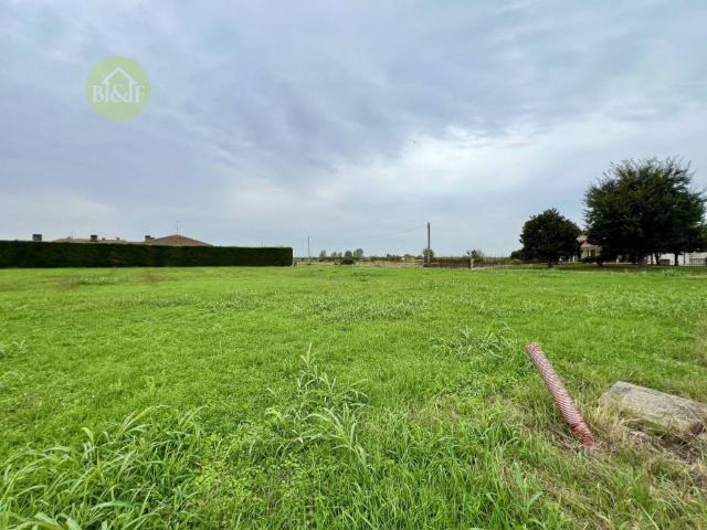 Terreno in vendita a Boschi Sant'Anna VR