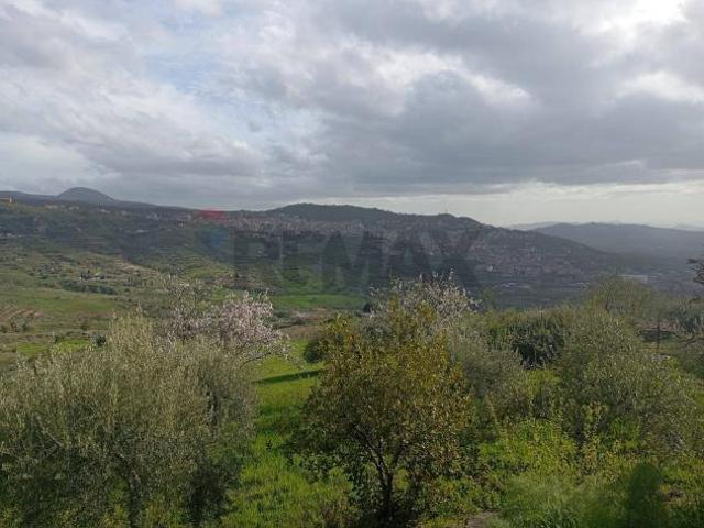 Terreno in vendita a Bronte