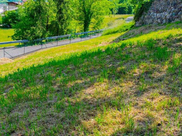 Terreno in vendita a Bracca BG