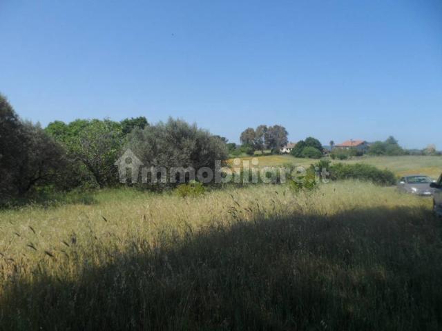 Terreno in vendita a Bracciano RM