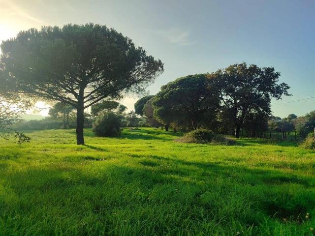 Terreno in vendita a Bracciano RM