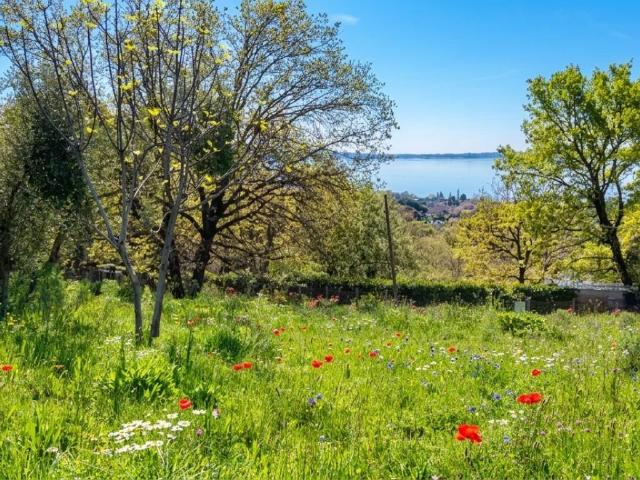 Terreno in vendita a Bracciano RM