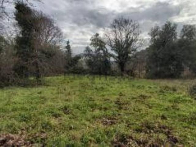 Terreno in vendita a Bracciano RM