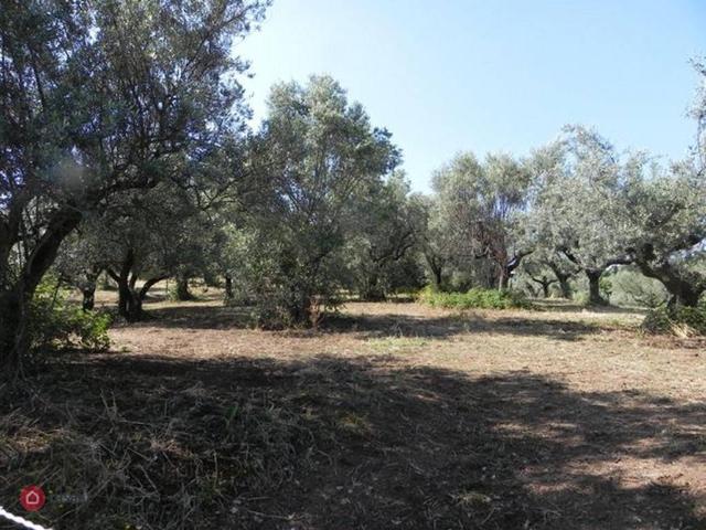 Terreno in vendita a Bracciano RM
