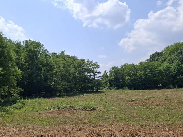 Terreno in vendita a Briga Novarese NO