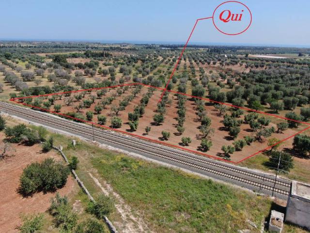 Terreno in vendita a Brindisi BR