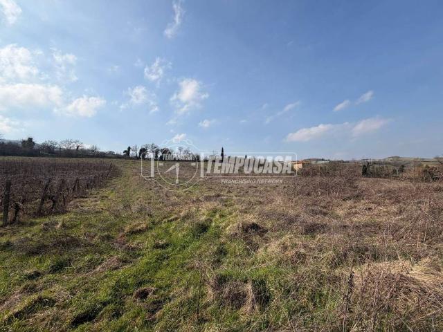 Terreno in vendita a Brisighella RA