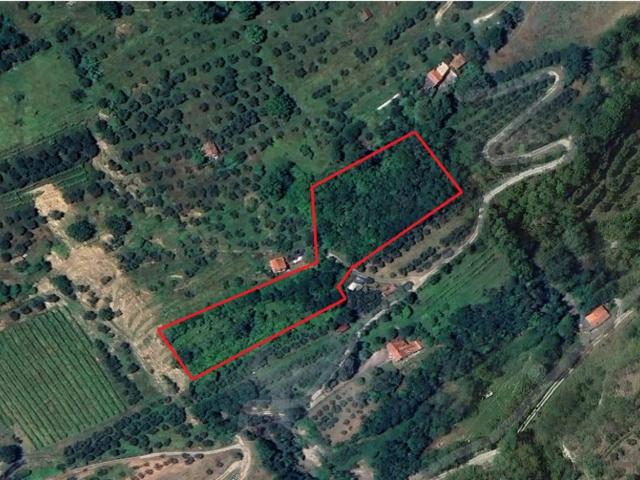 Terreno in vendita a Brisighella RA