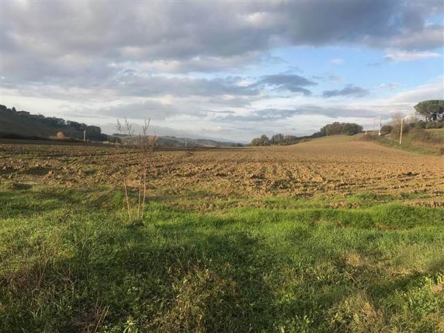 Terreno in vendita a Buonconvento SI